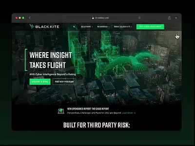 Black Kite Website Redesign animation branding design flat design illustration illustrator logo motion graphics shapes ui