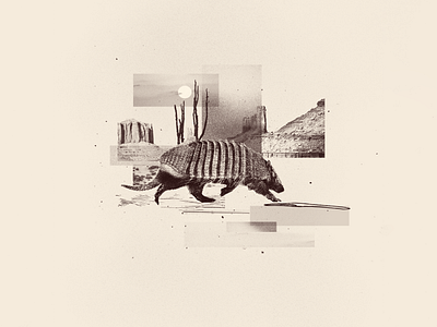 INKTOBER 15 ARMADILLO 2022 animal armadillo canyon collage collage art collage digital collage maker collageart design duotone graphic graphicdesign illustration inktober inktober 2022 mountain