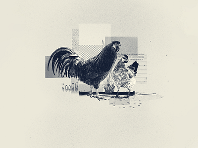 INKTOBER 16 FOWL animal chicken collage collage art collage digital collage maker collageart design duotone farm fowl graphic graphicdesign hen illustration inktober inktober 2022 minimal