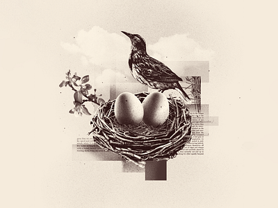 INKTOBER 09 NEST animal bird bw collage collage art collage digital collage maker collageart design duotone eggs graphic graphicdesign illustration inktober inktober 2022 life nature nest