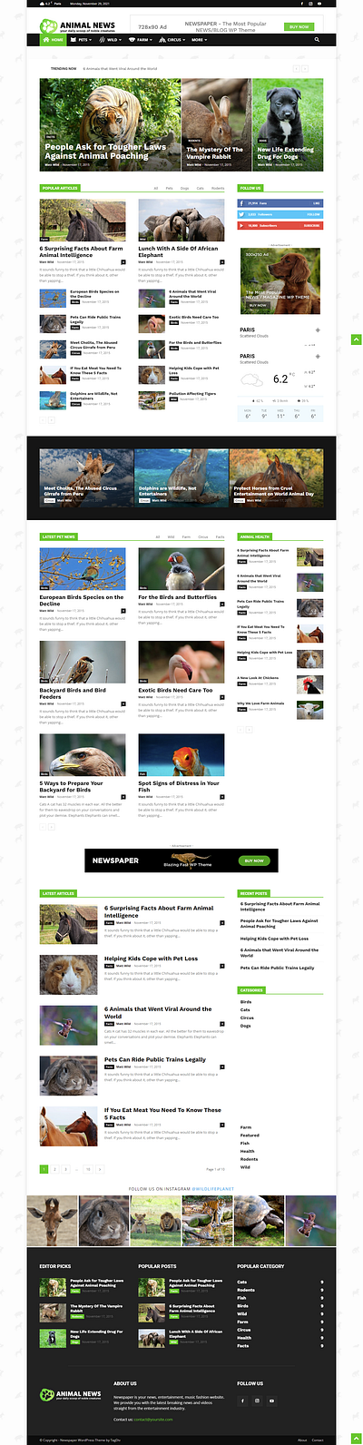 Animal News Blog Website branding design seo seoexpert typography ui ux webdesign