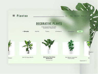 E-commerce website for plants blur decor glassmorphism green landing page minimal noise plant ui website