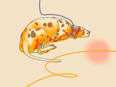 Dalmatian digital art dog drawing editorial illustration illustration pet photoshop procreate