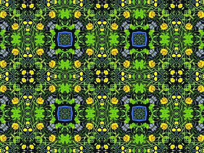 Corn Marigolds and Buttercups all over pattern black background buttercups corn marigold detailed flowers illustration surface pattern wild flowers wrapping paper design