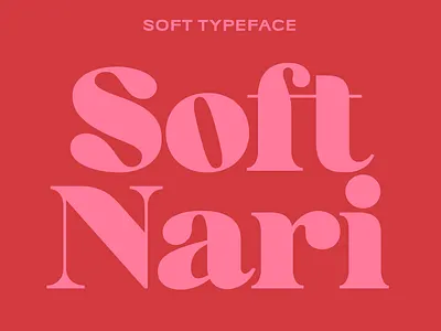 Typeface: Soft bold branding font friendly logo rounded serif type typeface