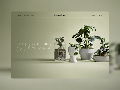 Flowerdose - Header design agency banner brand design desktop flat header inner page minimal typography ui ui design ux web website website design