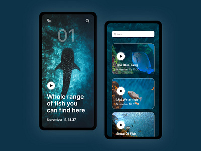 Ocean Fish Knowing App Interface app app design app interface app ui app ux bitmate bitmate studio blue design fish ios mobile mobile app ocean ocean fish sea sea fish ui user interface ux