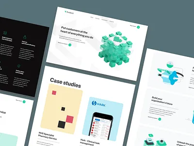 Evident - Website Design Case Study 3d 3d illustrations clean design illustration landing page landing page design minimal responsive ui ux web design
