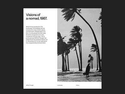 Visions of a nomad graphic design grids typography