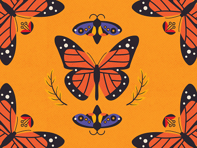 Moth & Butterfly