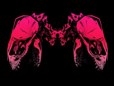 Snakepass anatomy animation artwork branding contemporary design digital art drawing illustration logo painter poster art print snakes vibrant