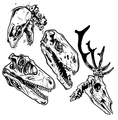 Skull Inks anatomy art artwork branding comic contemporary design digital art dinosaurs drawing graphic illustration inking lineart skulls