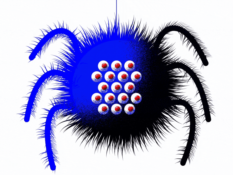Motiontober2022 | Day 05 | "Hairy" 2d after effects animation bouncing cartoon character hairy loop rigging spider