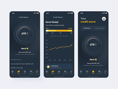 Credit Report App android credit app animation branding credit app credit report app design graphic design illustration interaction design ios credit app logo mbile credit app report app responsive credit app ui ux vector