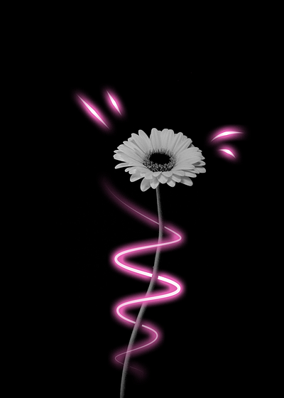 glow pink design graphic design illustration