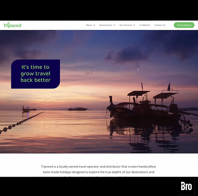 Tripseed Website brand brandingdesign brobrand bromadeit design illustration logo logos madebybro ui