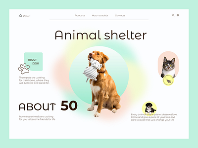 Animal shelter design ui uiux web design