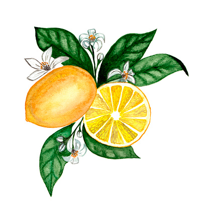 Beautiful composition of lemon fruits anflowers atr citrus composition flower illustration lemon print watercolor