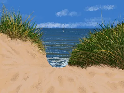 Balmedie Beach, Scotland design graphic design illustration