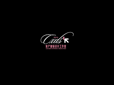 CXDS.1 design typography