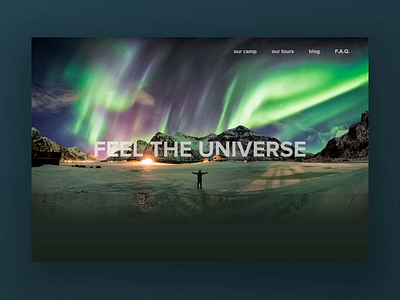 Alaska camp website concept design web design