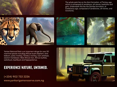 Yankari Game Reserve Poster conservation lagos nature nigeria poster