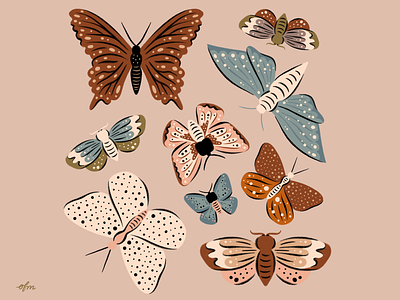 Butterflies + Moths butterflies color palette design hand drawn illustration illustrator inktober moths procreate texture