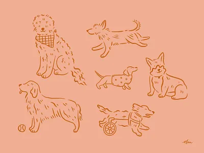 Various Doggos design dog doggos hand drawn illustration illustrator line art pet procreate texture