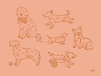 Various Doggos design dog doggos hand drawn illustration illustrator line art pet procreate texture