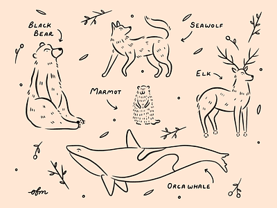 PNW Creatures animals creatures design hand drawn illustration illustrator line art pnw procreate sketching texture
