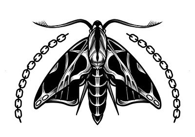 Chain Moth artwork blackwork dark art design drawing illustration moth poster print tattoo art tattoo flash visual art