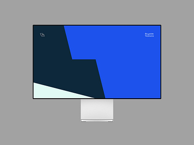 Buyside Ventures - Visual Design apple xdr brand branding design digital design display graphic design illustration logo mockup monitor typography vector