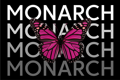 Monarch Font font minimal font modern font simple font