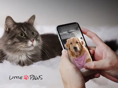 Little Paws Mobile App animals app design branding design mobile app mobile design mobile ui pets ui