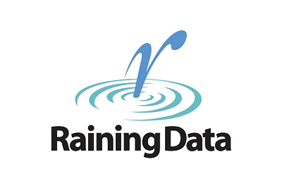 Raining Data Logo branding design graphic design illustration logo ui ux vector