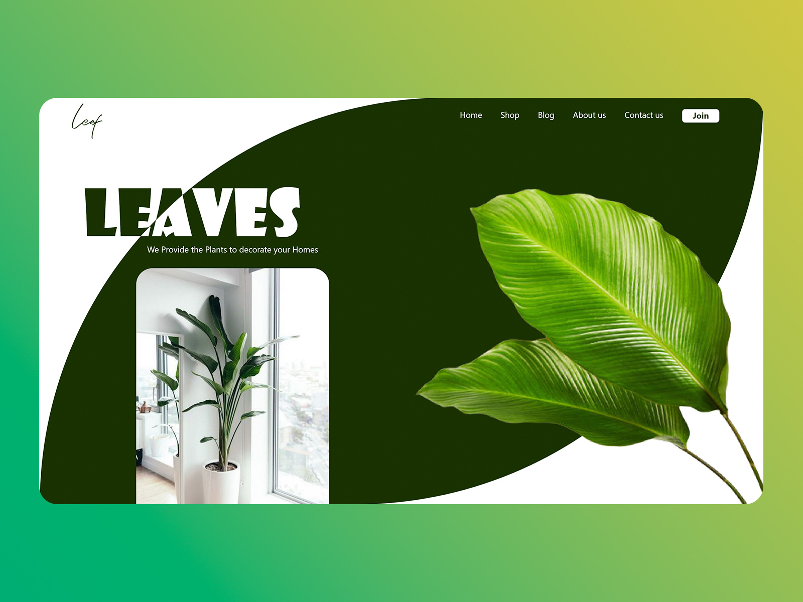 Example of Leaves ( Plants Shop ) Landing Page