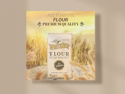 Flour Banner | Social Media Post Design ad advertiging animation branding cover design facebook ad facebook post flyer graphic design instagram ad instagram post marketing shot social media ad banner social media banner social media post design template ui web banner