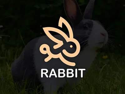 rabbit logo branding design graphic design illustration logo motion graphics typography ui ux vector