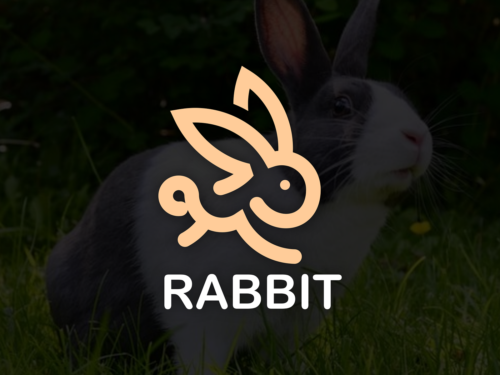 rabbit logo by brandal_design on Dribbble