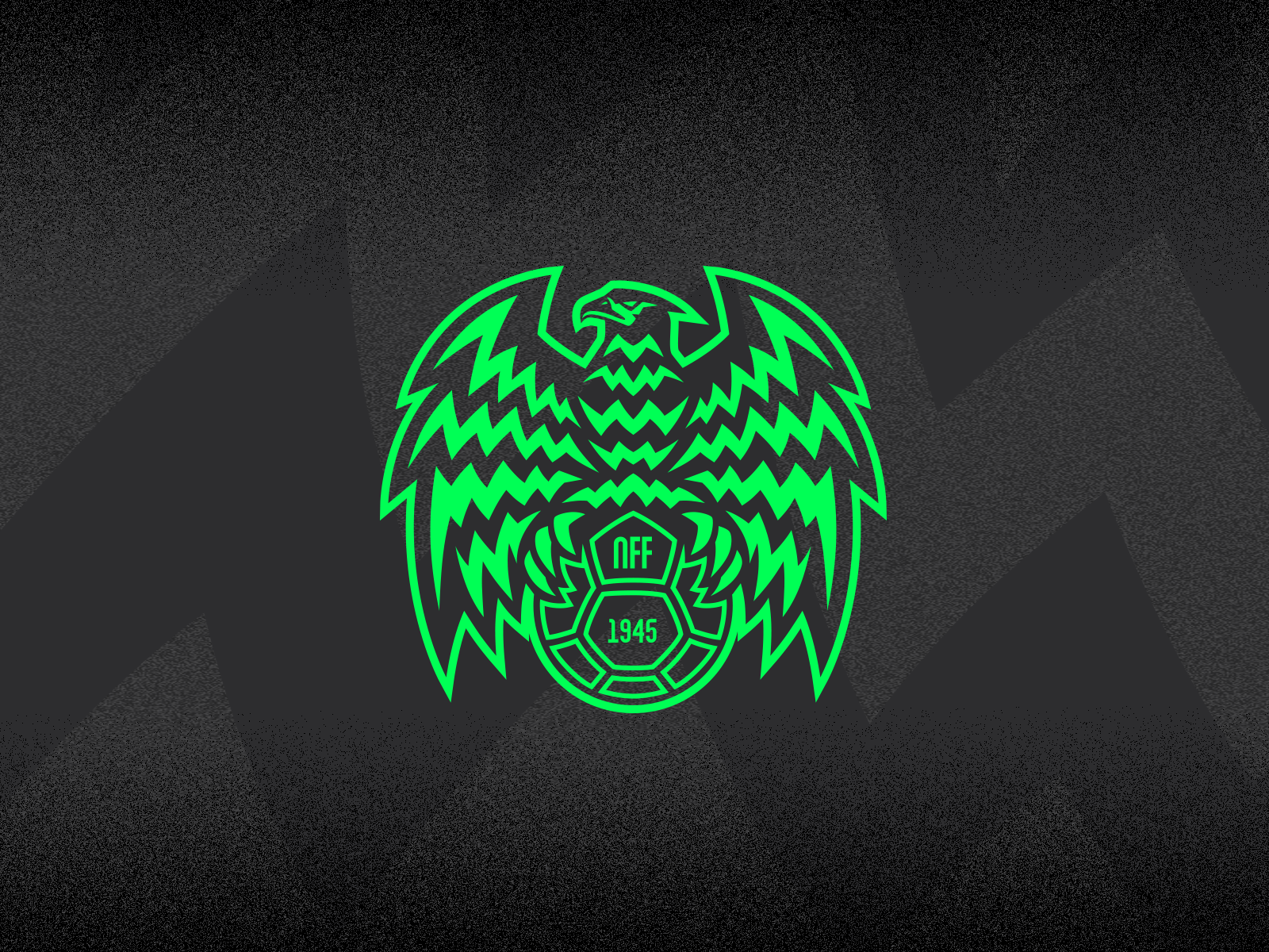Example of Super Eagles