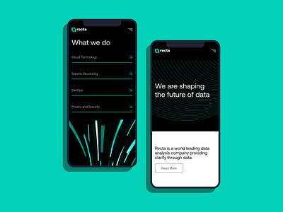 Recta Mobile Screens app branding data design future futuristic graphic design illustration logo logo design minimal mobile simple tech ui
