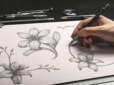 Hand Made Graphite Flower Elements ai corner daisy design elements flower garden graphite hand isolated lily made nursery ornament pencil png rose spring summer vector