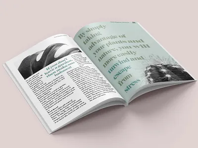 Pianta Magazine - Inner spread 2 design graphic design houseplant magazine photography plant publication