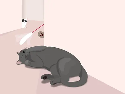 Cats cat design graphic design icon illustration logo vector イラスト