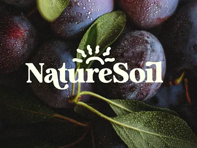 Analogue - Humanist Retro Serif aesthetic branding creative market editorial font graphic design humanist logo logo design nostalgic packaging retro serif type design typeface typography ui