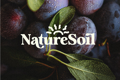 Analogue - Humanist Retro Serif aesthetic branding creative market editorial font graphic design humanist logo logo design nostalgic packaging retro serif type design typeface typography ui