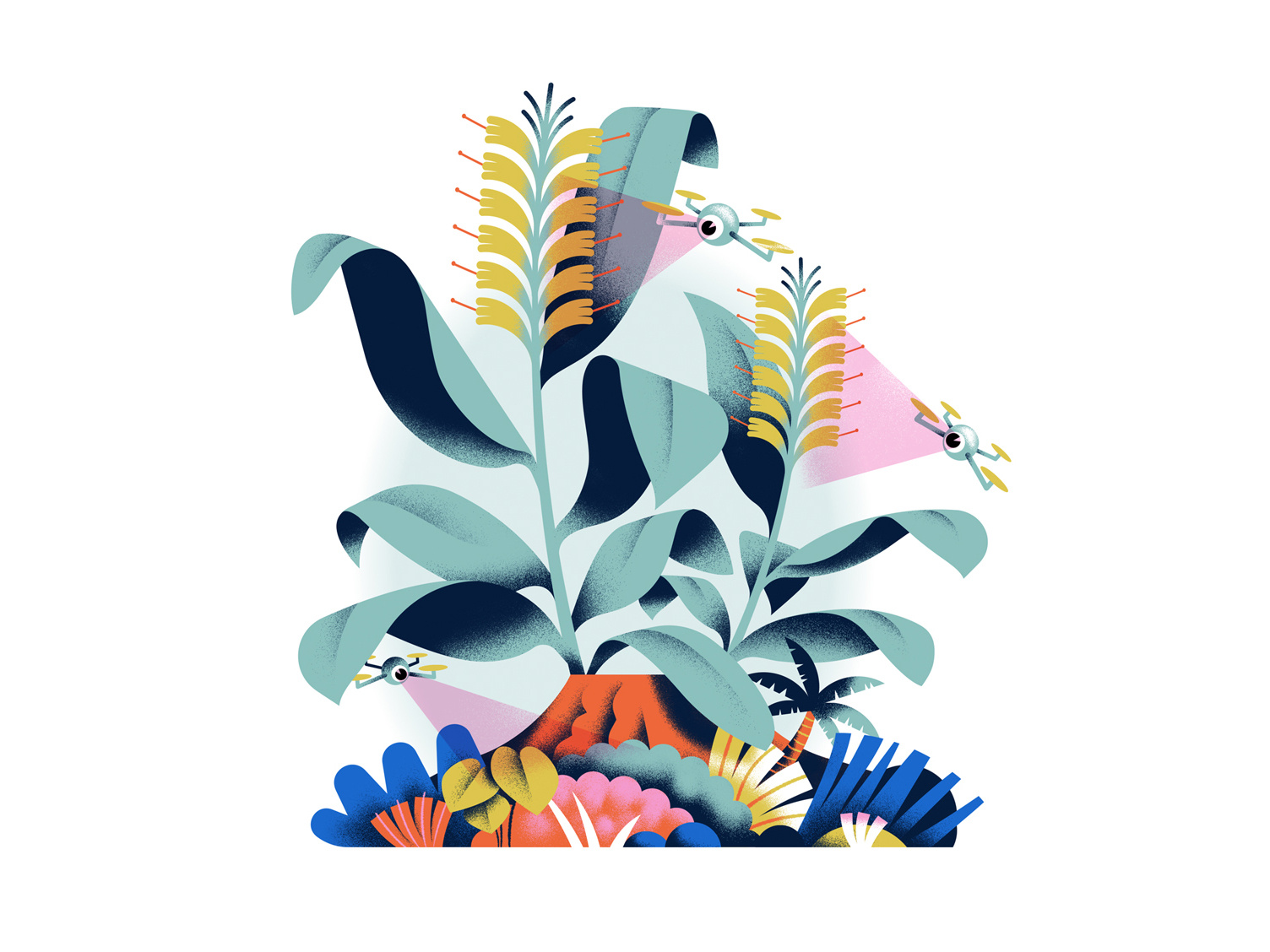 Nature Conservancy Magazine by Daniele Simonelli on Dribbble