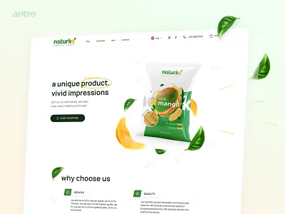 Online Store of Foreign Dried Fruits app branding design figma food fresh fruits illustration logo minimal nature photo product shop site store ui ux web webdesign