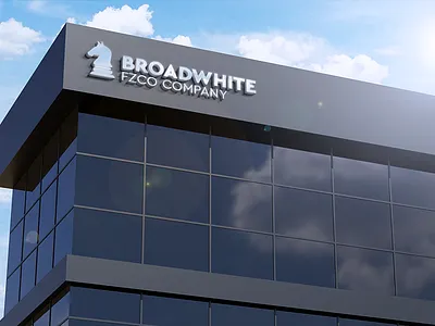 Broadwhite Logo branding design illustration logo mockup