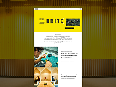 BRITE Homepage design ui ux